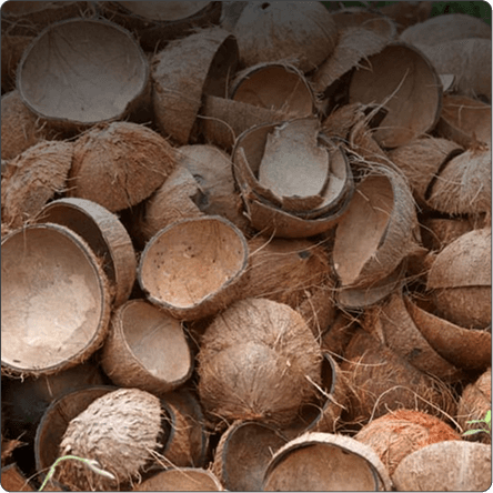 Raw Material Selection