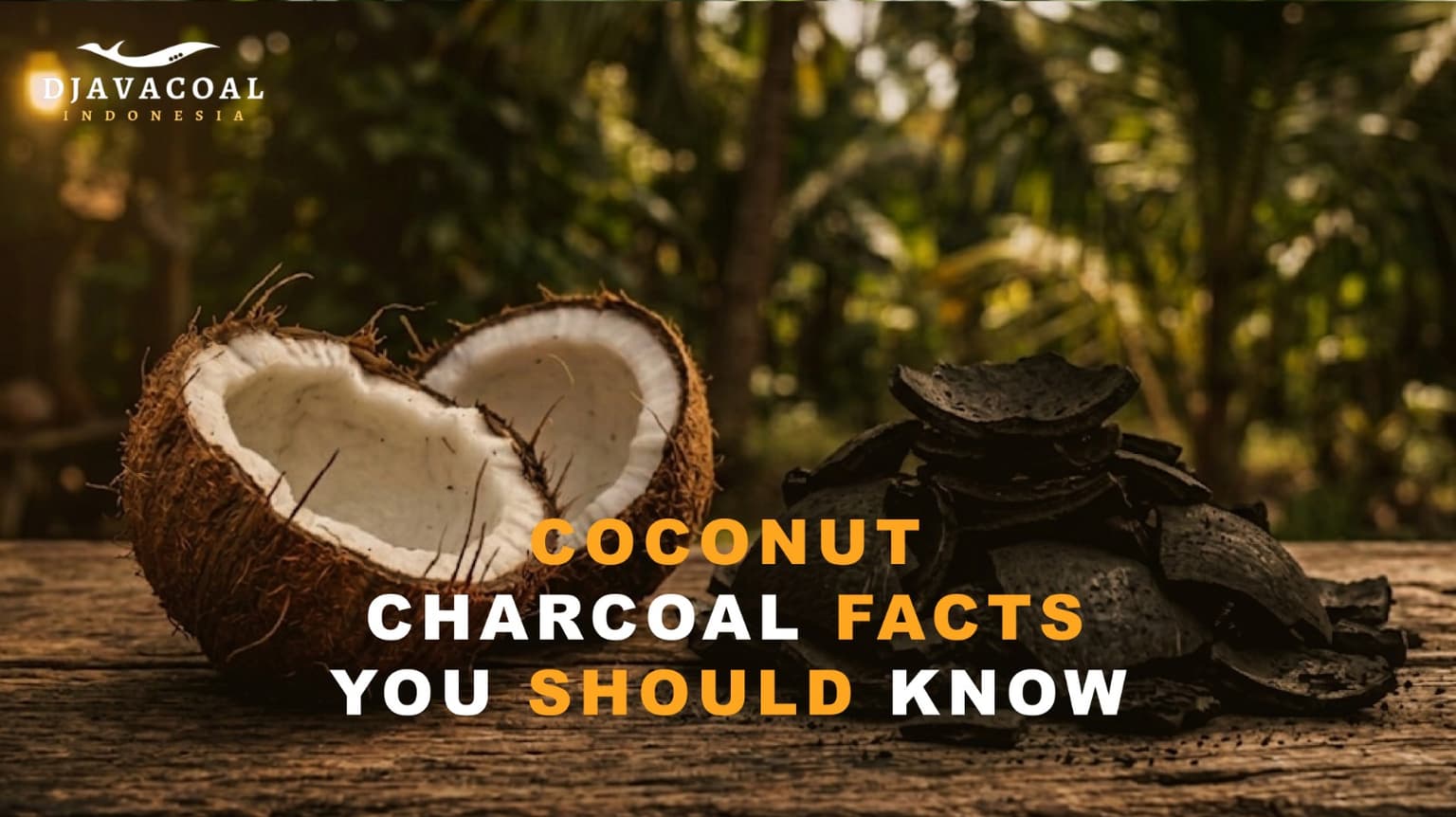 The Difference Between Coconut Shell Charcoal and Natural Wood Charcoal