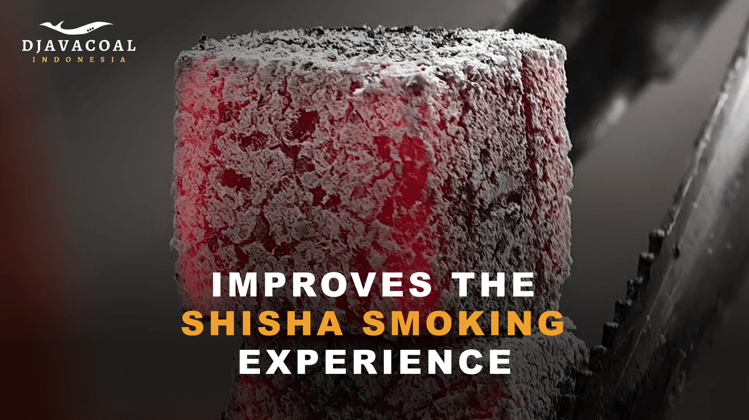 How Coconut Shell Charcoal Improves the Shisha Smoking Experience